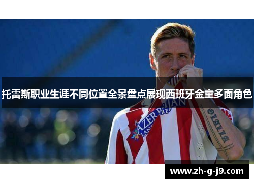 托雷斯职业生涯不同位置全景盘点展现西班牙金童多面角色