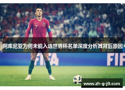 阿库尼亚为何未能入选世界杯名单深度分析其背后原因