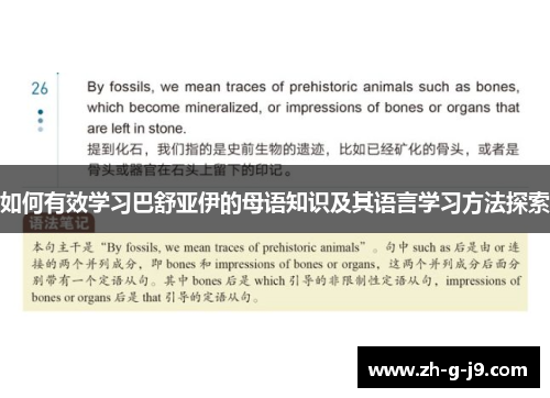 如何有效学习巴舒亚伊的母语知识及其语言学习方法探索