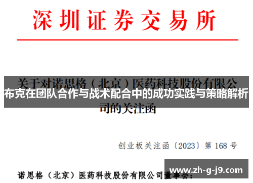 布克在团队合作与战术配合中的成功实践与策略解析