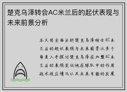 楚克乌泽转会AC米兰后的起伏表现与未来前景分析